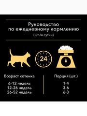 Миниатюра-2