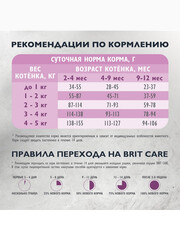Миниатюра-2