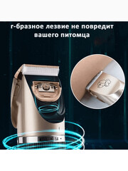 Миниатюра-3