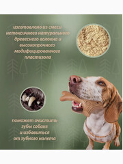 Миниатюра-2