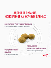Миниатюра-1