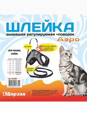 Миниатюра-2