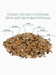 Миниатюра-2