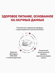 Миниатюра-1
