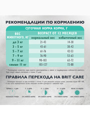 Миниатюра-1