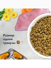 Миниатюра-1