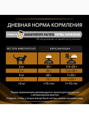 Миниатюра-2