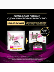 Миниатюра-1