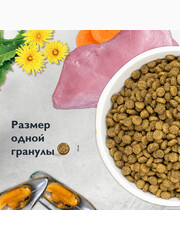Миниатюра-2