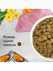 Миниатюра-1