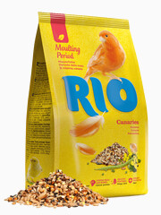 Миниатюра-0