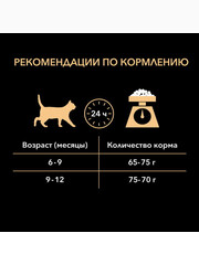 Миниатюра-1