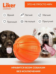 Миниатюра-2