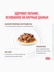 Миниатюра-1