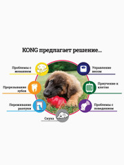 Миниатюра-2