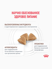 Миниатюра-1