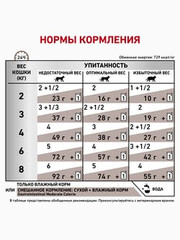 Миниатюра-2