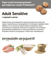 Миниатюра-1