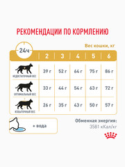 Миниатюра-2