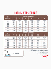 Миниатюра-2