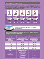 Миниатюра-2