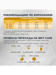 Миниатюра-2