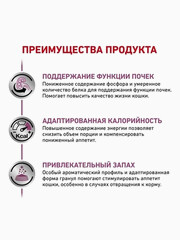 Миниатюра-2