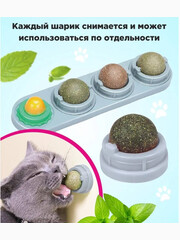 Миниатюра-2