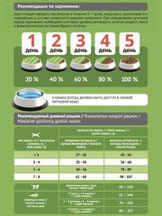 Миниатюра-2