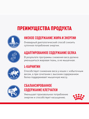 Миниатюра-2