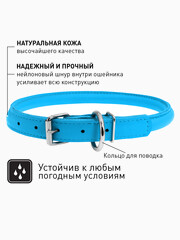 Миниатюра-1