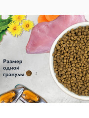 Миниатюра-1