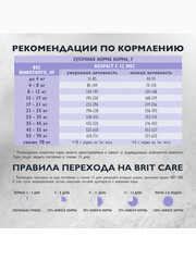 Миниатюра-2