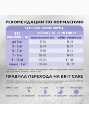 Миниатюра-2