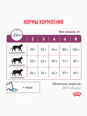Миниатюра-2