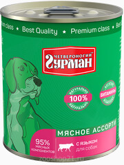Миниатюра-0