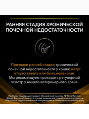 Миниатюра-1