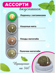 Миниатюра-1