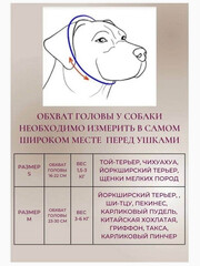 Миниатюра-4