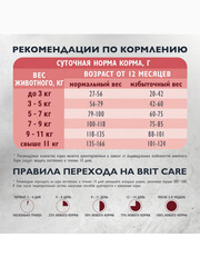 Миниатюра-2