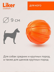 Миниатюра-1