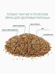 Миниатюра-1