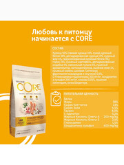 Миниатюра-1
