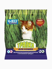 Миниатюра-0