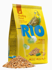 Миниатюра-0