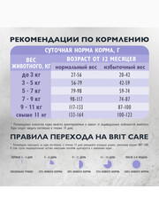 Миниатюра-2