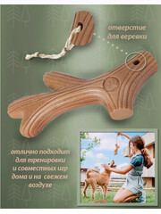 Миниатюра-3