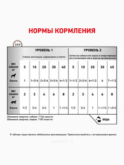 Миниатюра-1