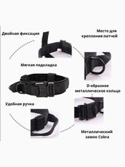 Миниатюра-1