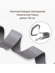 Миниатюра-3